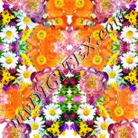Colour:A