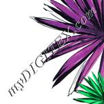 Colour:B