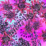 Colour:B