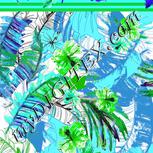 Colour:C
