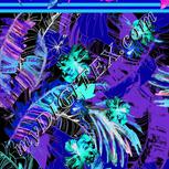 Colour:F