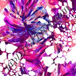 Colour:B