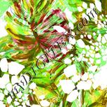Colour:D