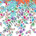 Colour:B