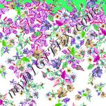 Colour:D