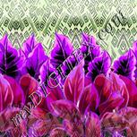 Colour:D