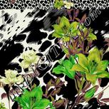 Colour:D