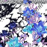 Colour:F