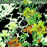 Colour:K
