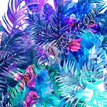 Colour:B
