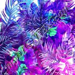 Colour:C