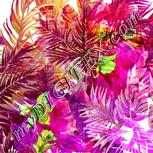 Colour:D