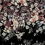 Colour:A