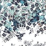 Colour:F