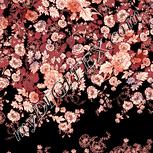 Colour:J