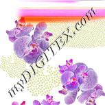 Colour:A