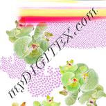 Colour:B