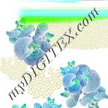 Colour:D