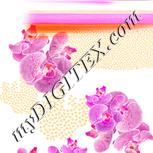 Colour:J