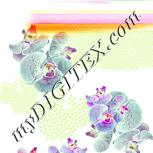 Colour:K