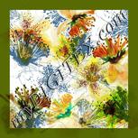 Colour:A