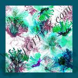Colour:C