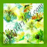 Colour:K