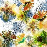 Colour:A