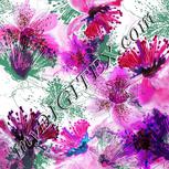 Colour:B
