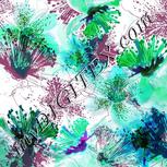 Colour:C