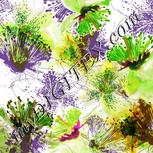 Colour:D
