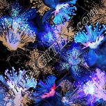 Colour:F