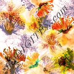Colour:J