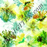 Colour:K