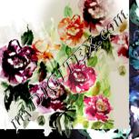 Colour:A