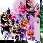 Colour:B