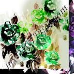 Colour:D