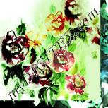 Colour:K