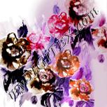Colour:B