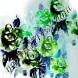 Colour:C
