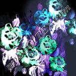 Colour:F