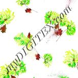 Colour:D