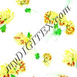 Colour:K