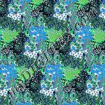 Colour:F