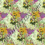 Colour:K