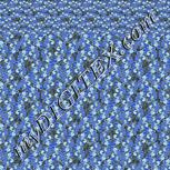 Colour:F