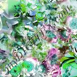 Colour:C