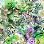 Colour:D