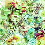 Colour:K