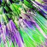 Colour:D